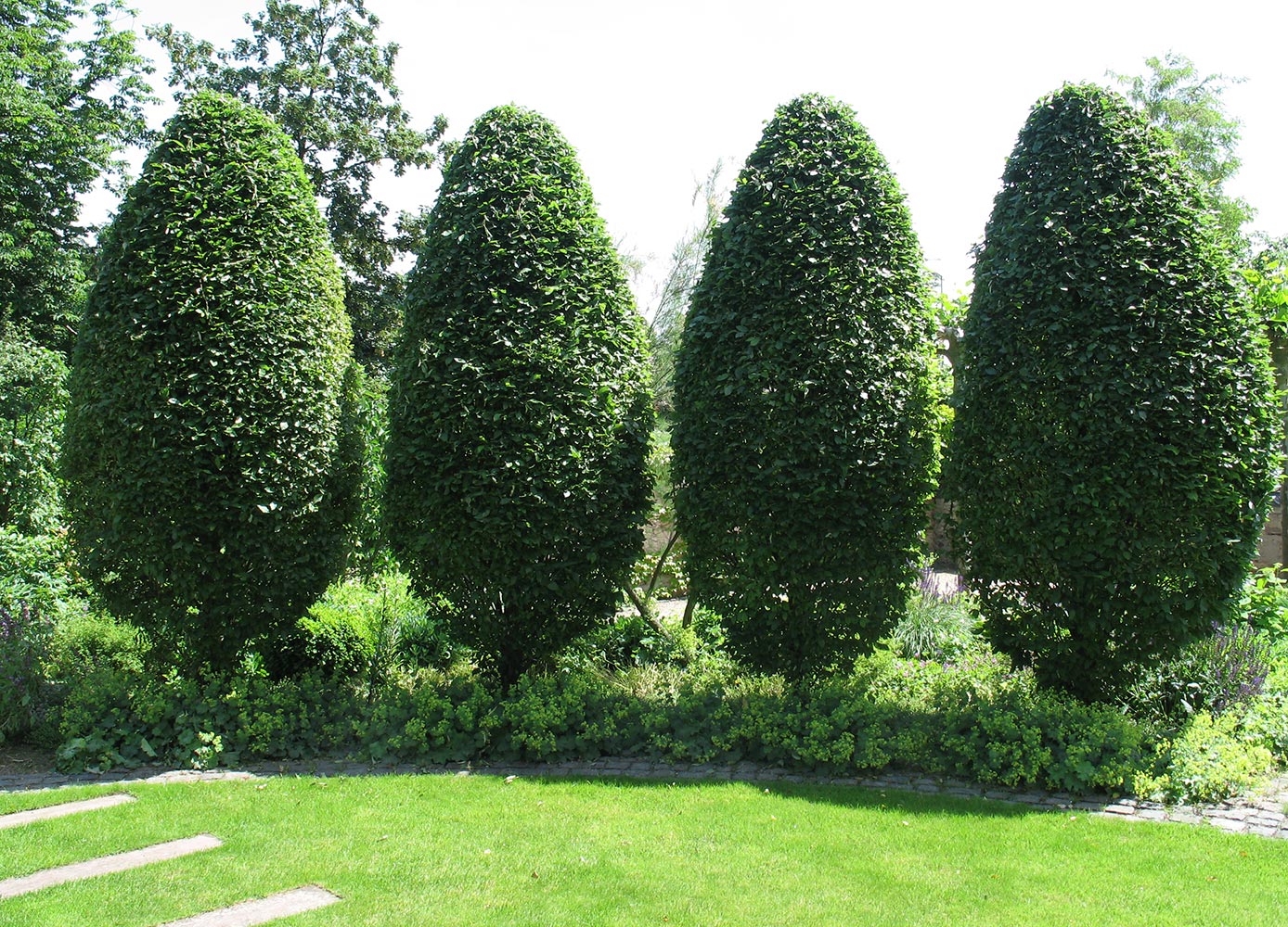 3 Rheingau Musik Festival